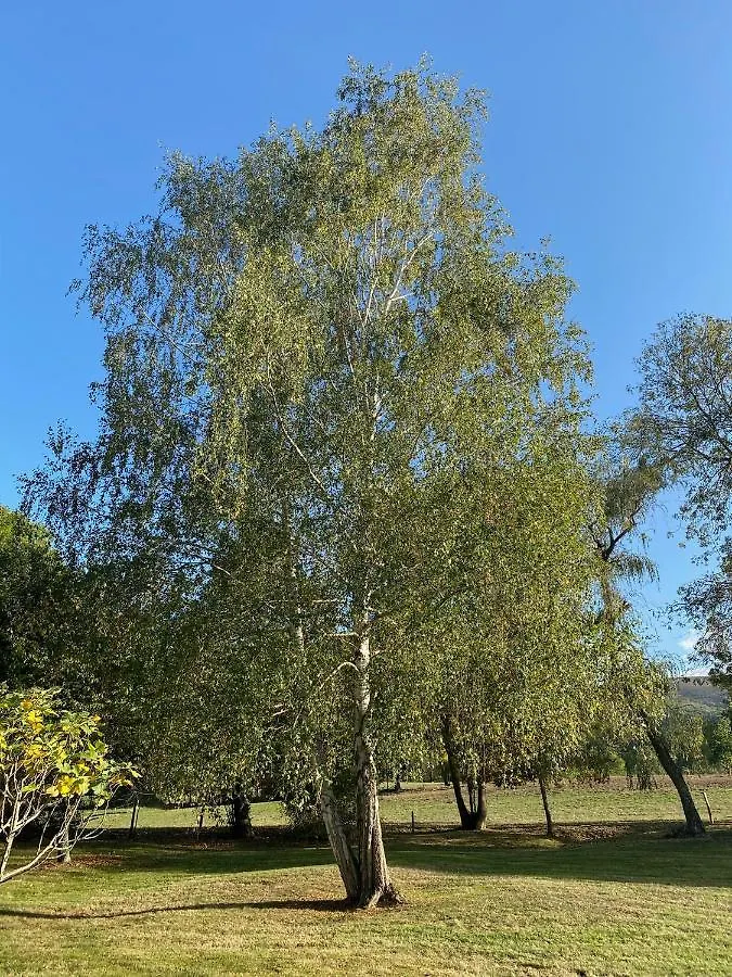 Foix Villa 150M2 Dans Tres Grand Parc Arbore 0*,  France